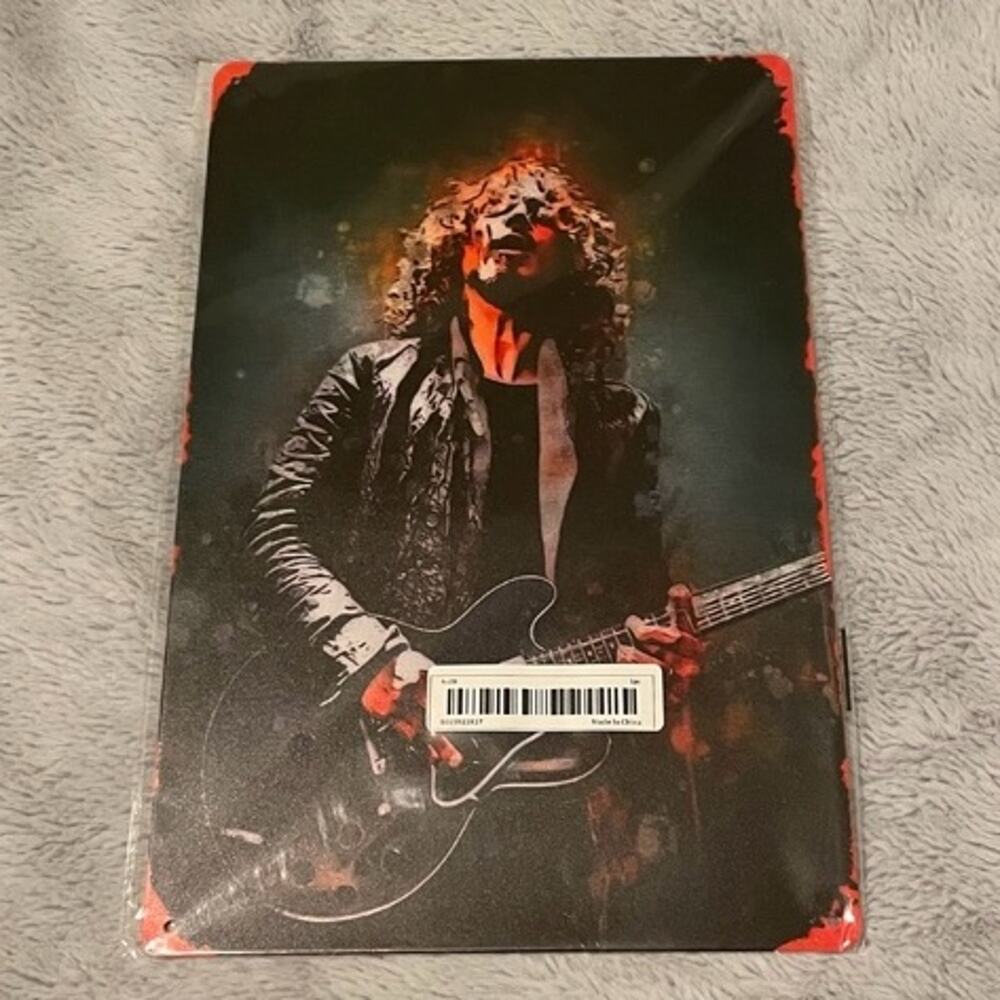 Chris Cornell Temple of the Dog, Soundgarden & Audioslave ~ 8” x 12” Metal Sign